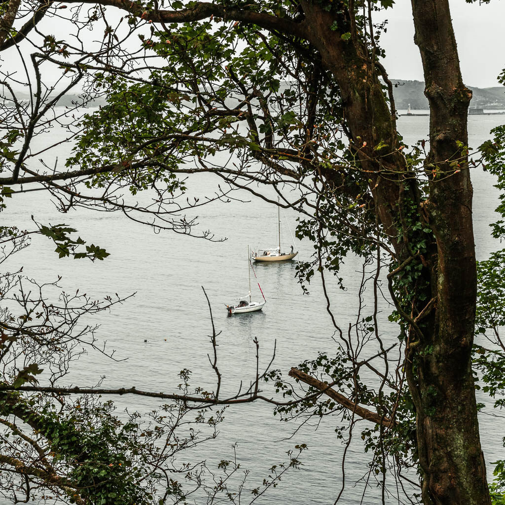 Looking through a gap in the trees to a couple of boats on the water on the circular Rame Head walk.