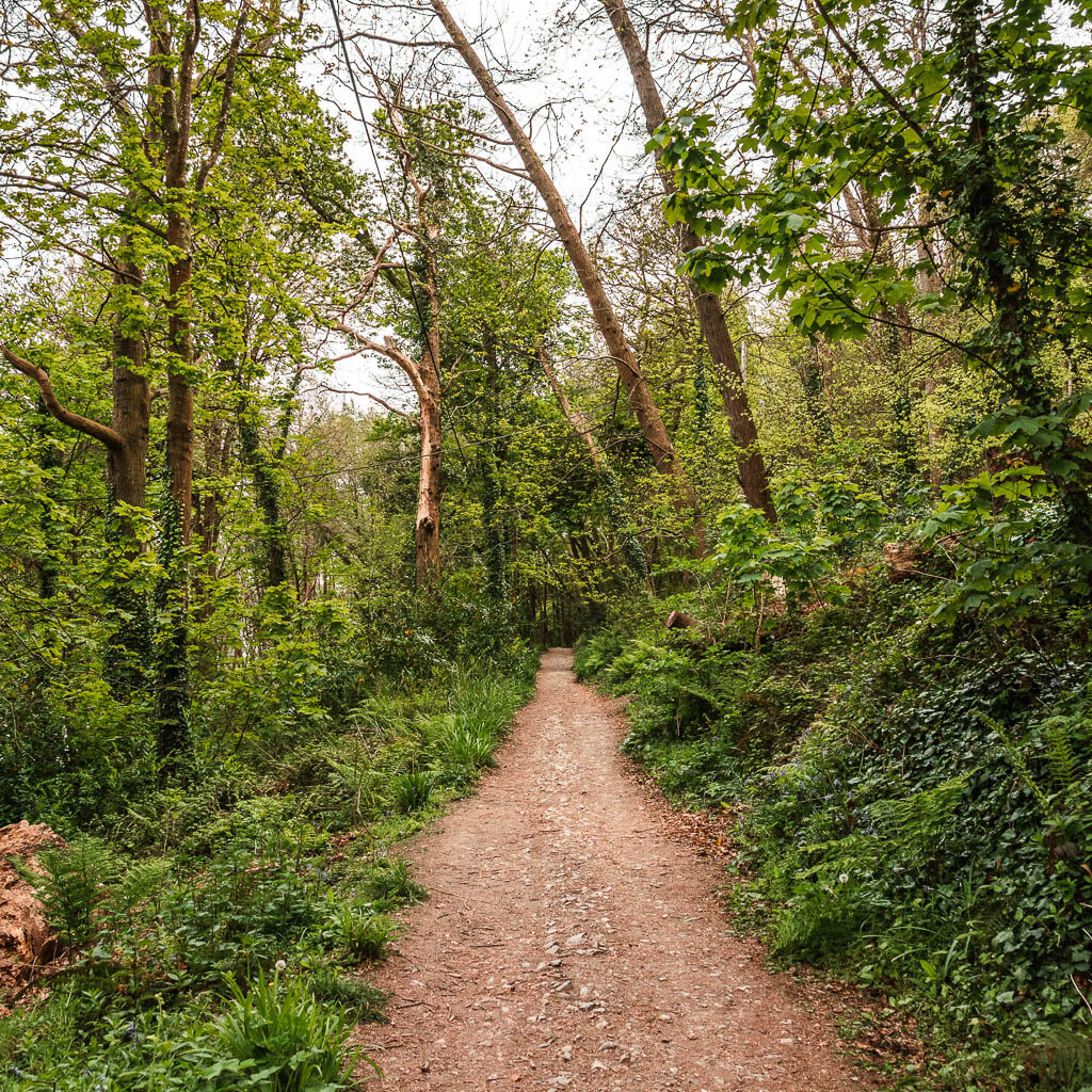 A long gravel type dirt trail lined with tress, bushes and grass.