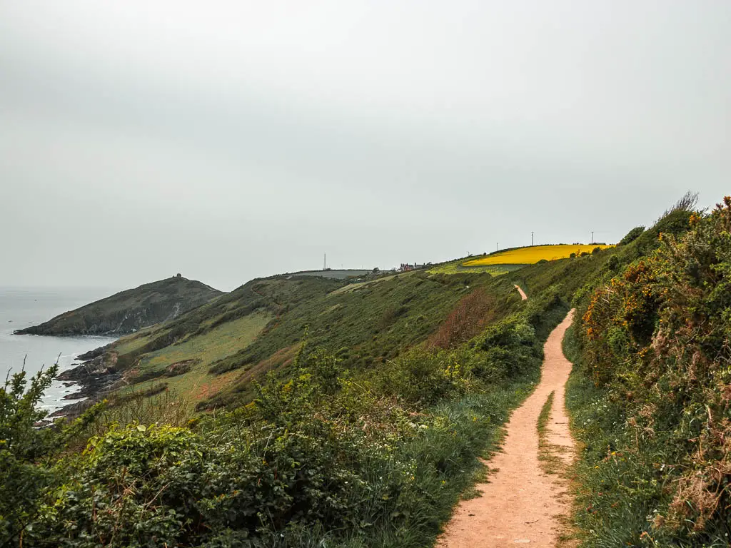 A dirt trail on the right and a grass covered downhill to the left on the walk towards the Rame Head Peninsular which is visible in the distance. 