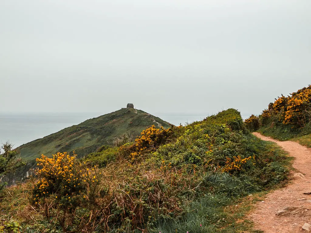 A dirt trail on the right with a view across the bushes to a gill with a church on top on the circular Rame Head Peninsular walk.