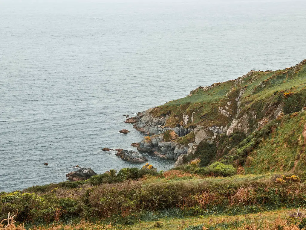 Looking down across the grass to the rocky cliff coastline on the Rame Head circular walk.