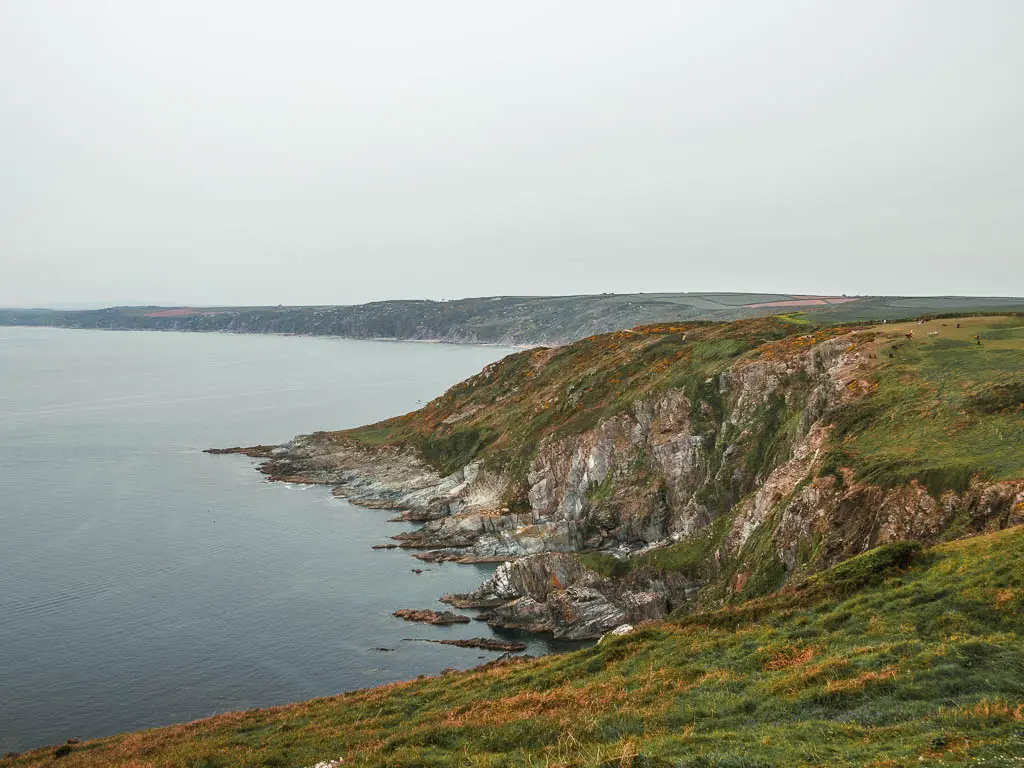 Looking down along the rugged rocky coastline on the Rame Head Peninsular walk. The clifftop is covered in grass.