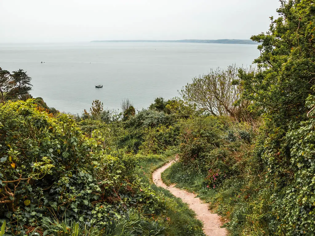 A trail winding downhill surrounded by grass and bushes, with a view to the sea ahead. 