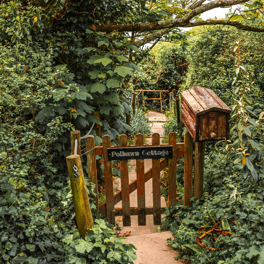 A wooden gate with a wooden post box, surrounded by greenery.