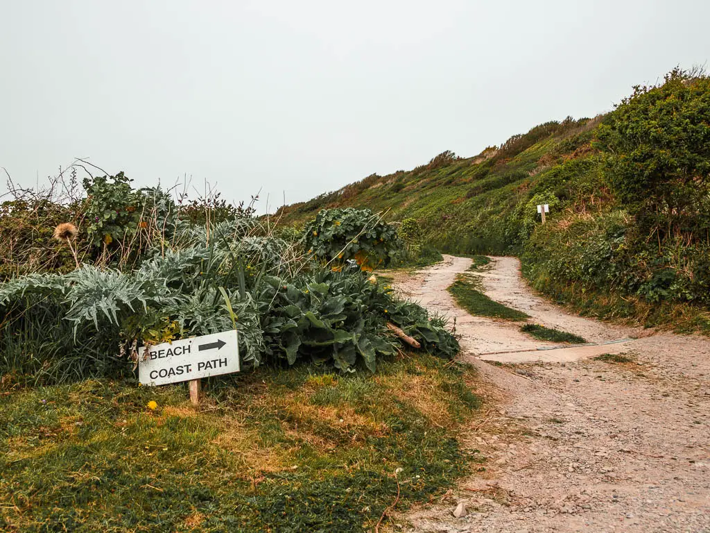 A rugged path on the right, with a grass patch and bushes on the left and a sign pointing to the beach coast path. 