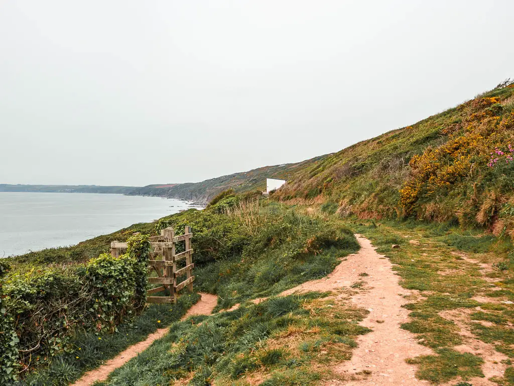 A grassy dirt trail leading straight, and bushes and a wooden gate to the left. 