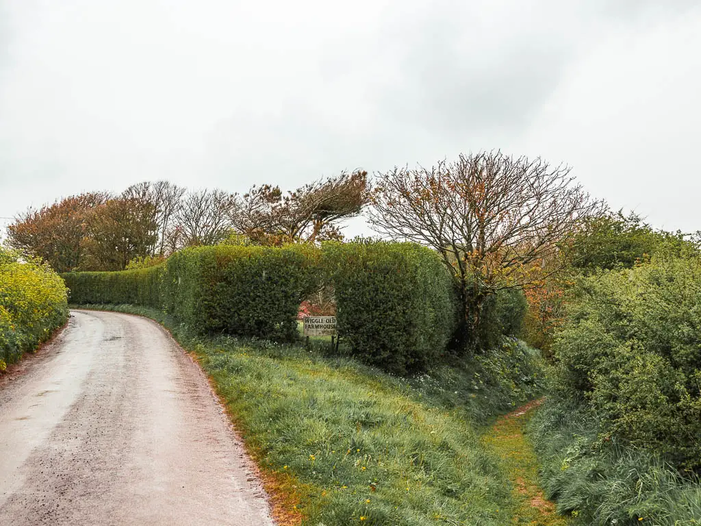 A country road on the left, and a grass trail leading through the hedges on the right on the walk back to Kingsand from the Rame Head Peninsular. 