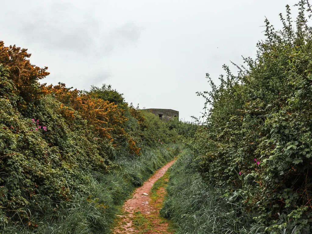 A narrow dirt trail lined with hedges, and the top of a war pillbox visible ahead. 