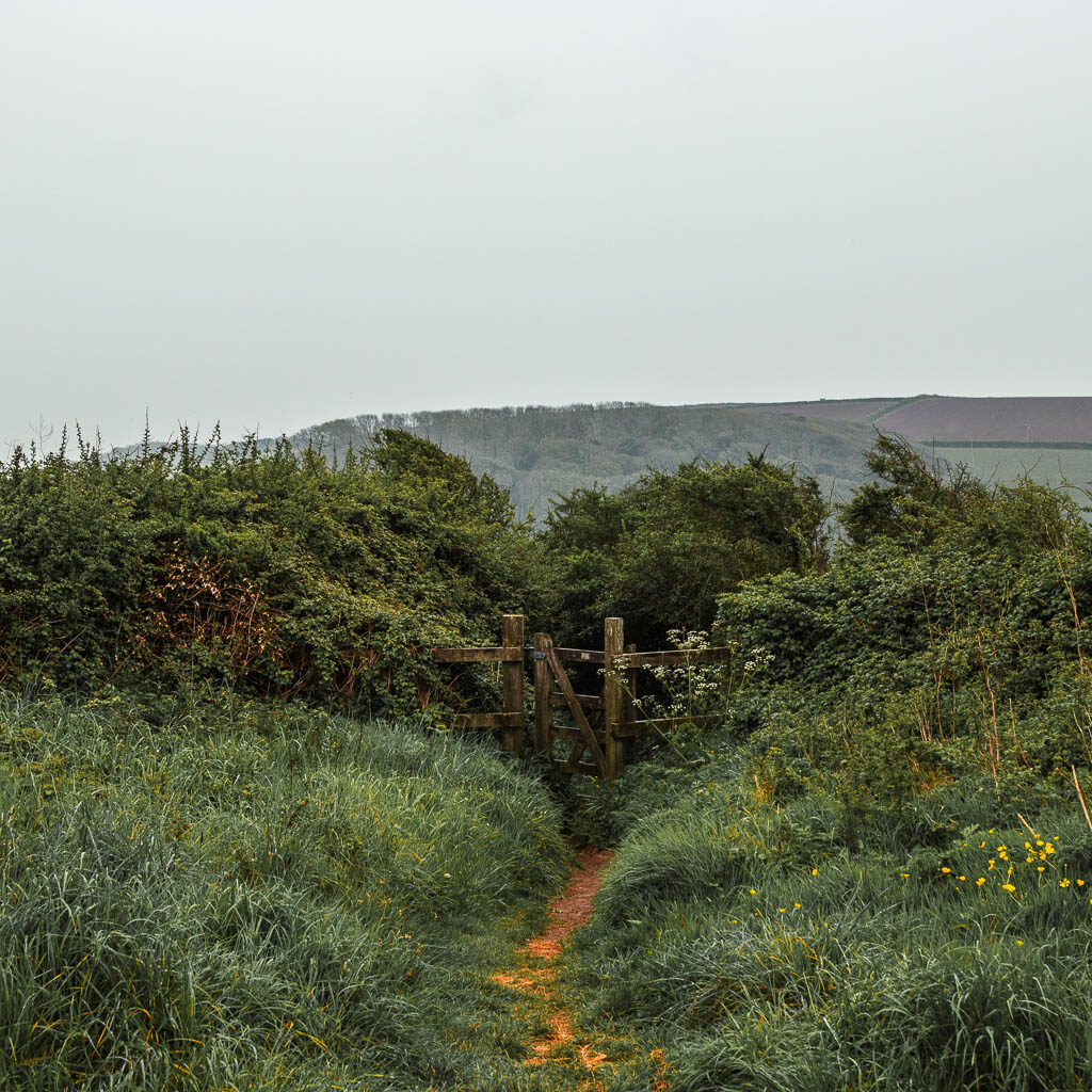 A small dirt trail surrounded by tall grass, leading to a wooden gate ahead which is surrounded by bushes. 