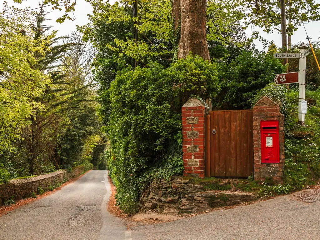 A country road to the left and a big hedge and pillarswith a wooden door and red post box to the right of it.
