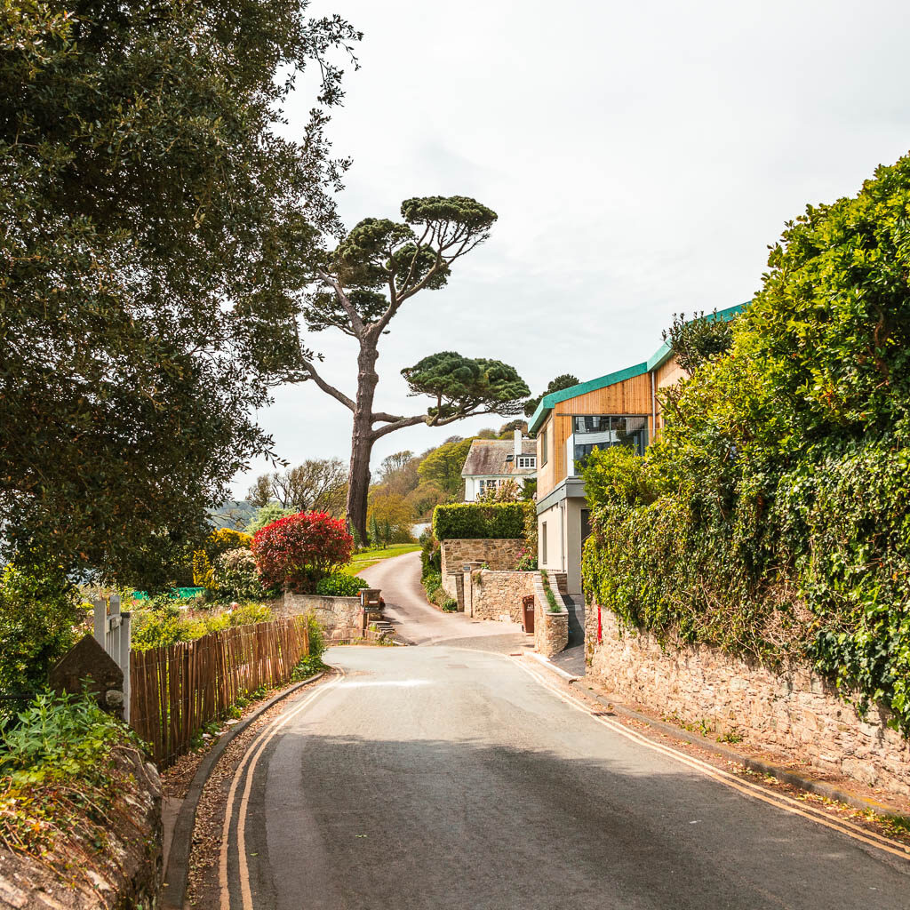 A road with a wooden fence on the left and stone wall and hedge on the right.