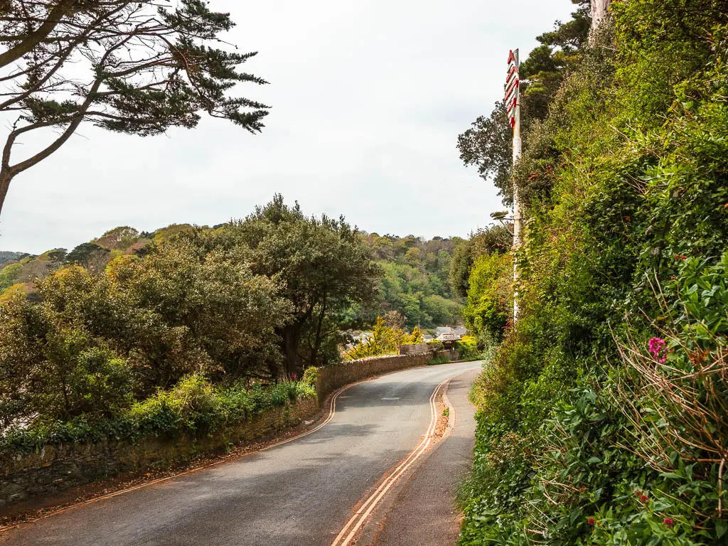 A road snaking down and to the right, with bushes and a stone wall on the left and a tall hedge on the right.