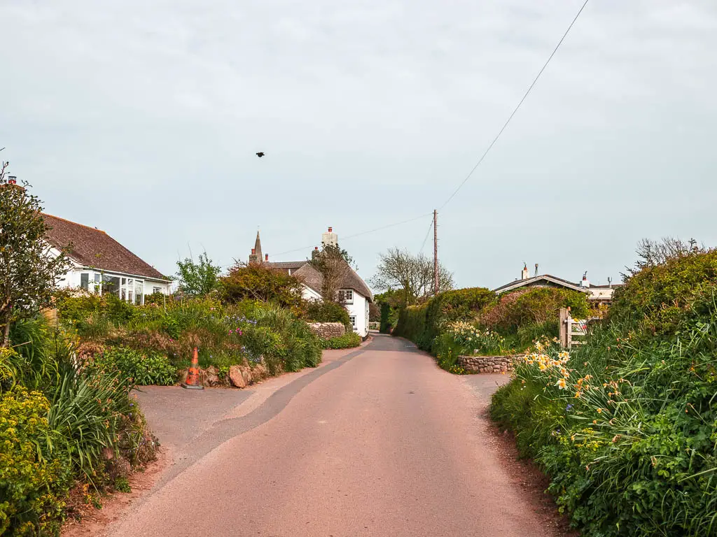 A wide country road surrounded by some bushes, with a thatched roofed cottage ahead on the left.