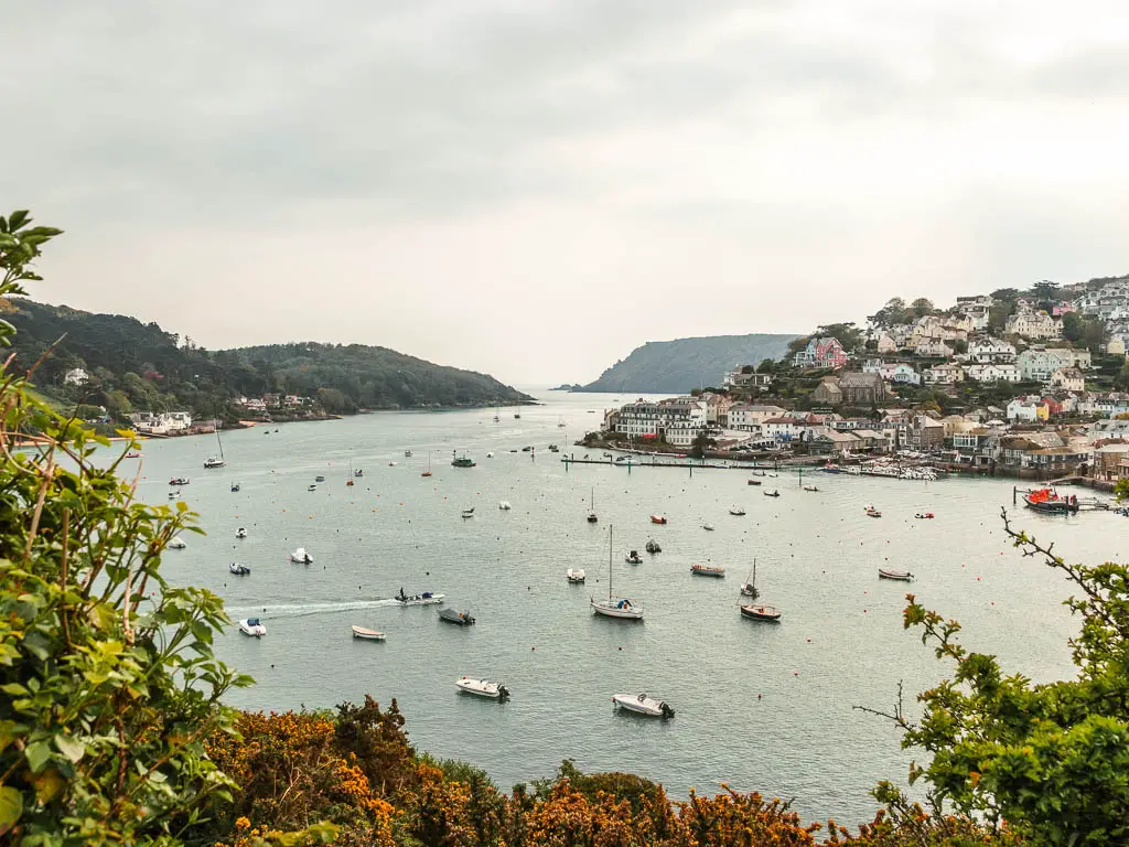 Looking down over Salcombe Harbour along the walk to Snapes Point. There are lots of boats dotted around the harbour, with the village of Salcombe to the right with clusters of houses rising up the hill. 