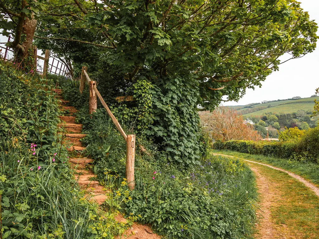 Stone steps leading up through the bushes on the left, leading to Snapes Point, on the walk route from Salcombe.