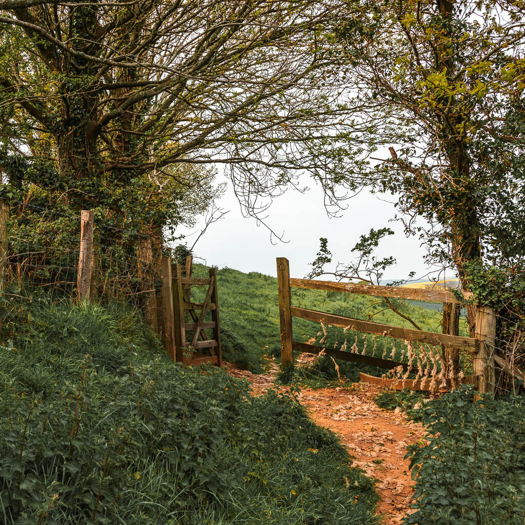 A dirt trail leading to a wooden fence and gate. 