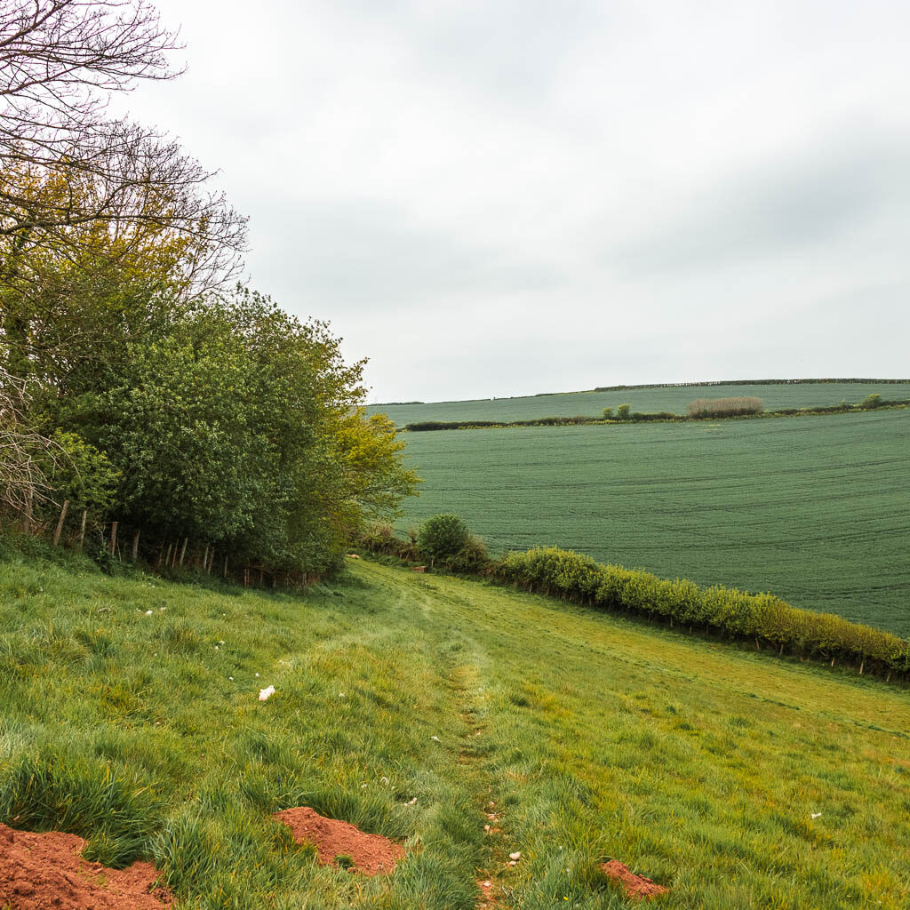 A grass trail running along the side of a hill field. 