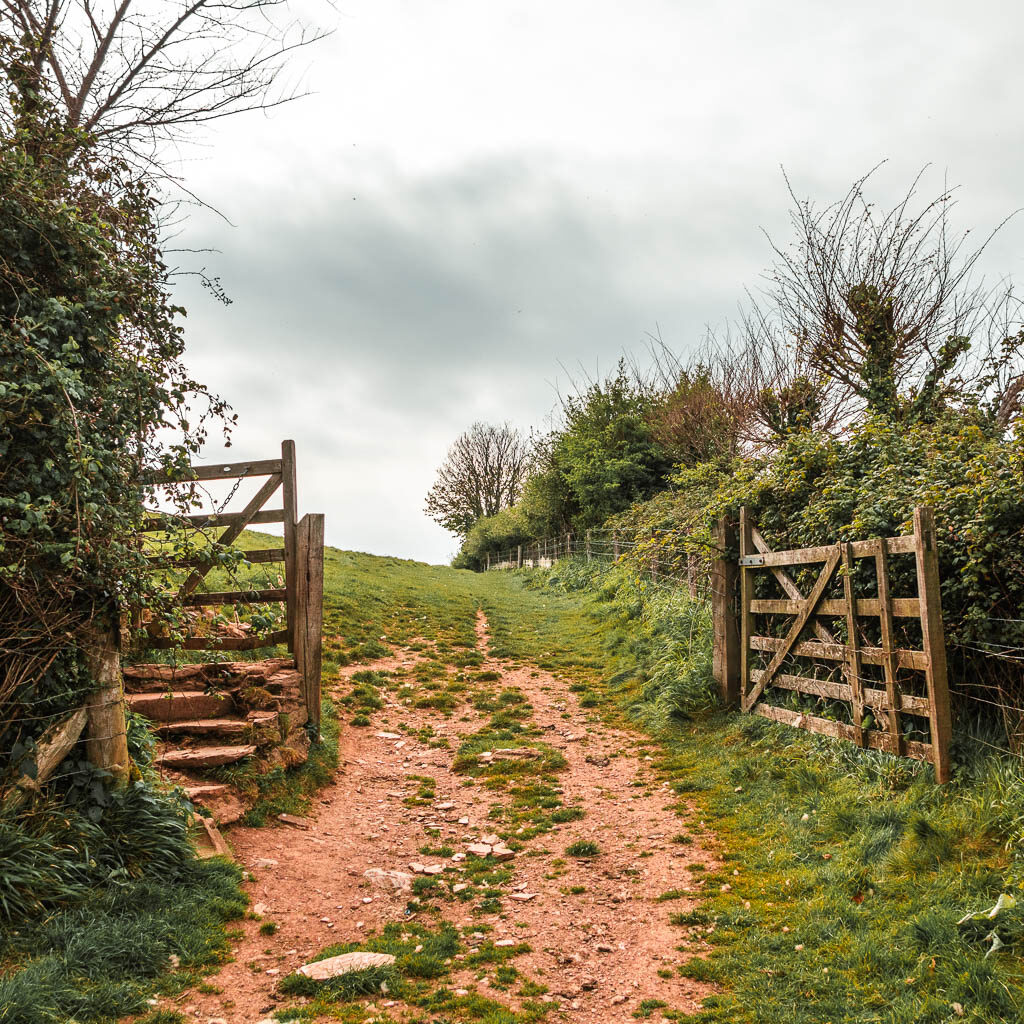 A rocky dirt trial leading through a wooden gate to a field on the other side.