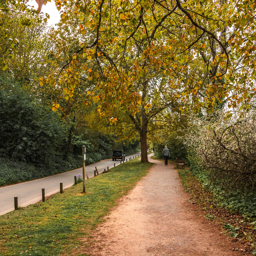 A path on the right, with a grass bank to the left, and the road to the left of that. There is a man walking ahead on the path.