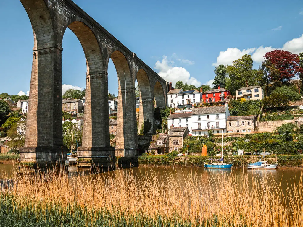 Standing next to the arches of the Calstock Viaduct on the circular walk from Bere Alston. The village of Calstock is on the other side of the river.