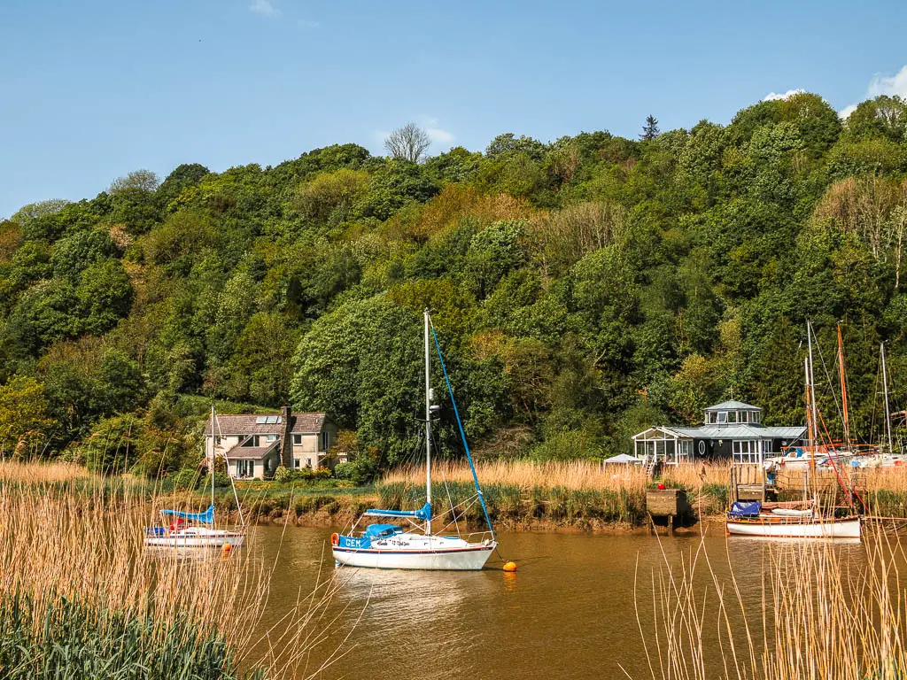 A few boats on the Tamer River on the circular walk from Bere Alston to the Casltock Viaduct. There are a couple of houses on the other side of the river, and lots of bushy woodland behind them.