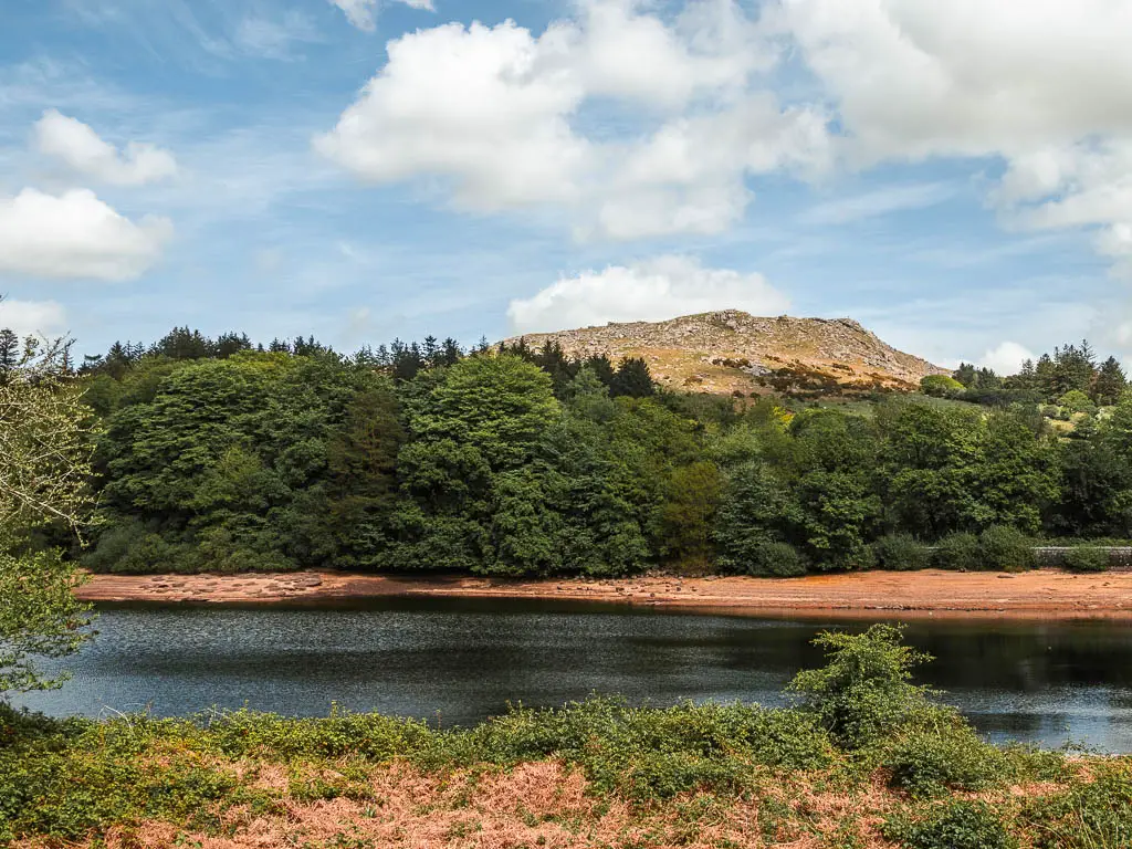 Looking over the bushes to the Burrator Reservoir, part way through the circular walk. There is a mass of trees on the other side, and Sheepstor looming high behind them.