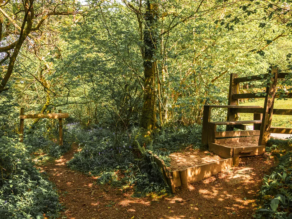 A dirt trail in the woods with a wooden style on the right, leading to the road.