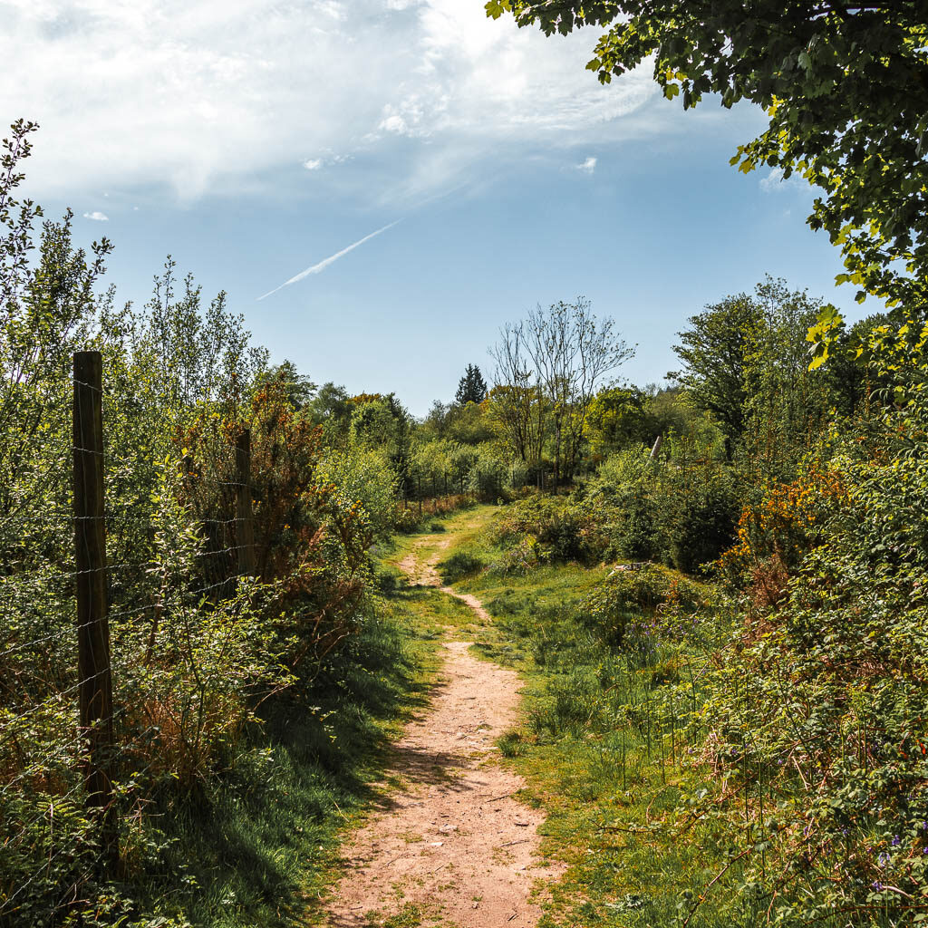 A dirt trail with a wire fence on the left and grass and bushes to the right.