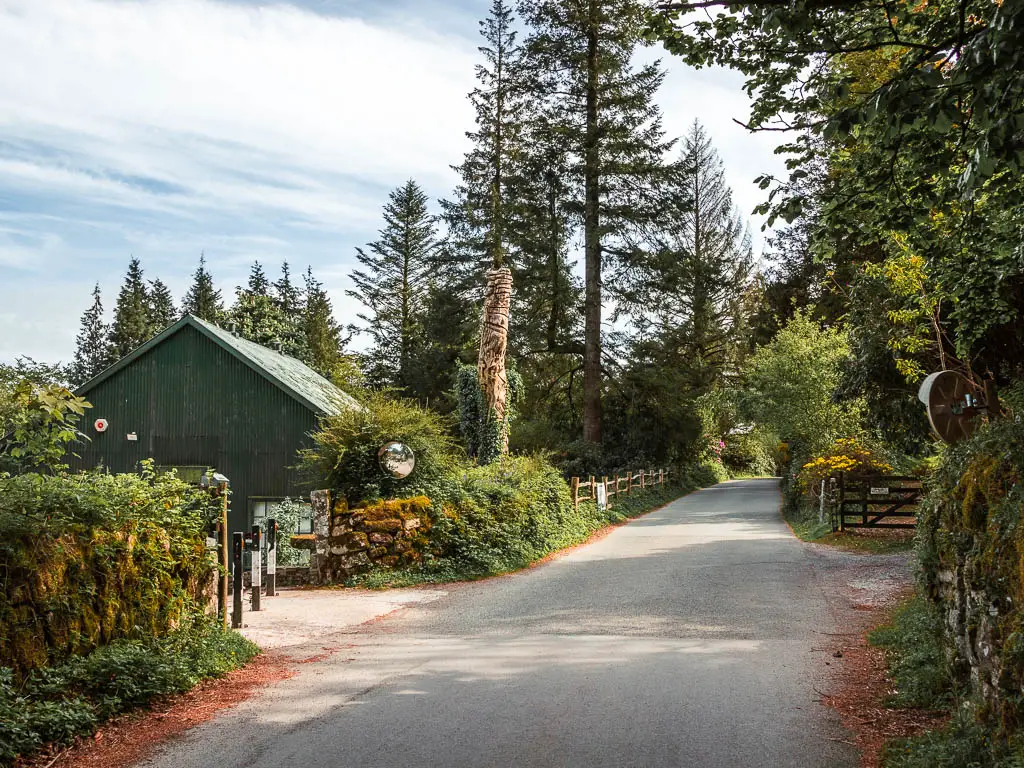A country road running straight, with a fern and moss covered stone wall on the left, near the end of the Burrator Reservoir walk. There is a green shed building on the left of the wall, and totem pole next to it.