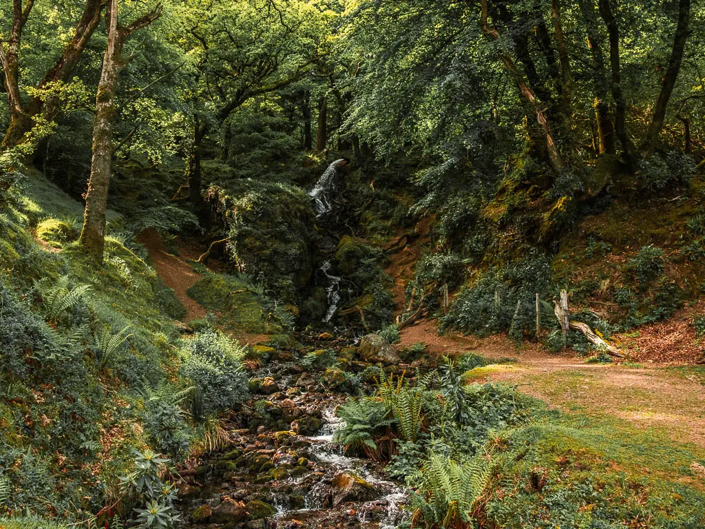 Looking along the rocky stream and up to a small waterfall coming down the hill and rocks, near the end of the circular Burrator Reservoir walk.
