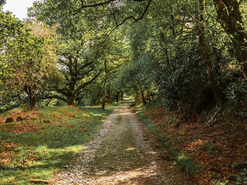 A gravel trail leading uphill, with grass banks and s a few trees.