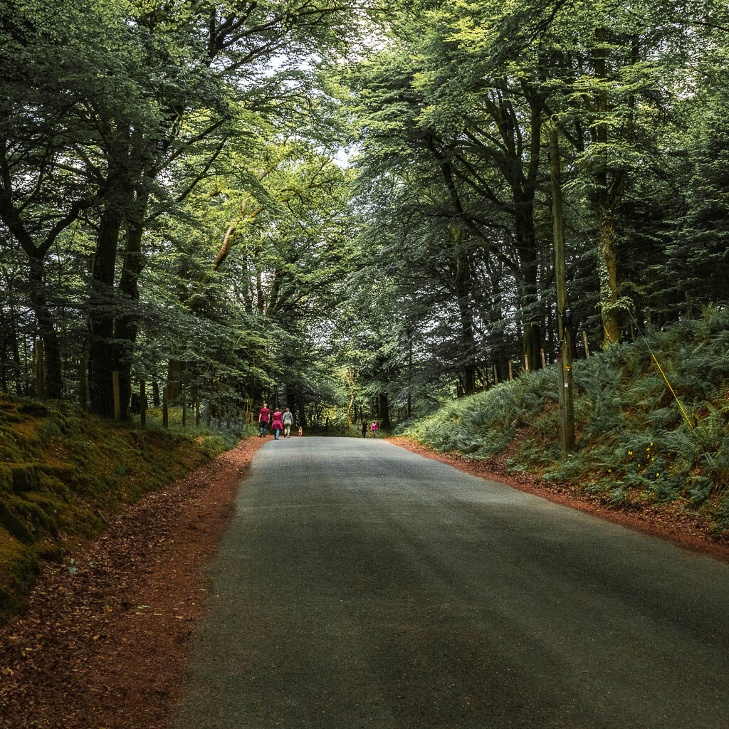A wide road with grass banks, under the trees. there are some people walking ahead on the road.