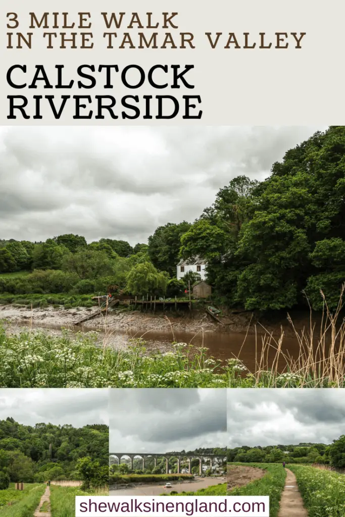 Calstock riverside walk guide, Tamar Valley Cornwall