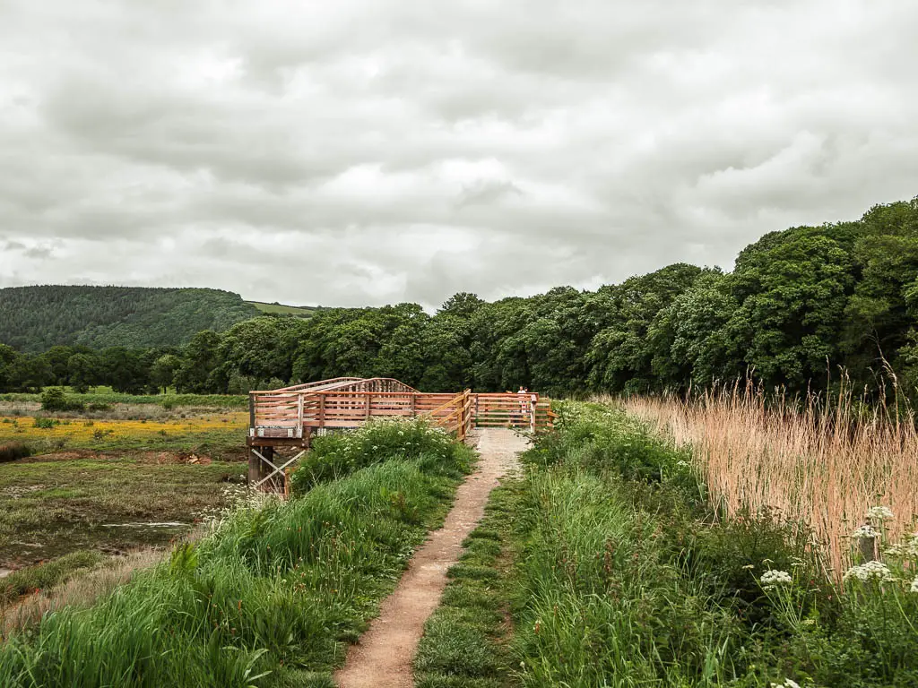 A narrow path lined withal grass, leading to a wooden bridge. 