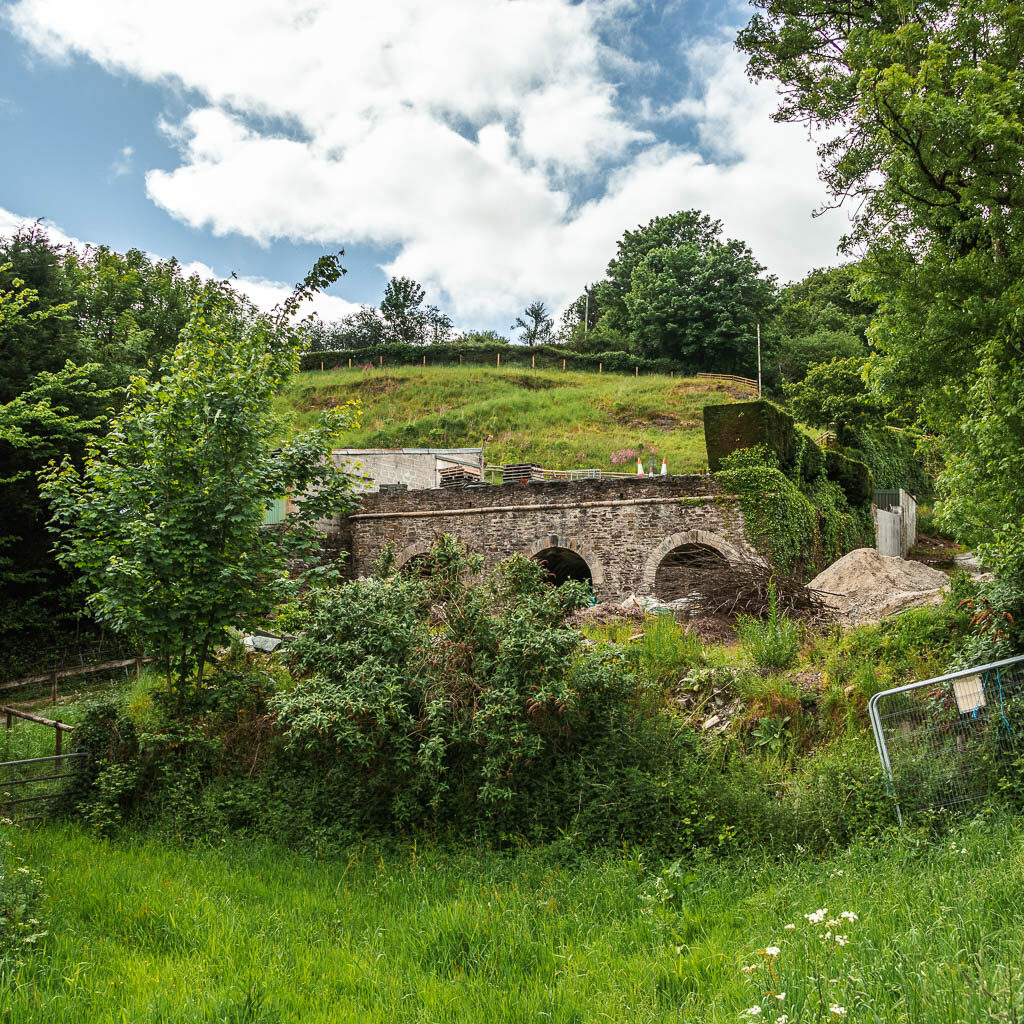 Looking across the grass and some bushes to some wall ruins. 