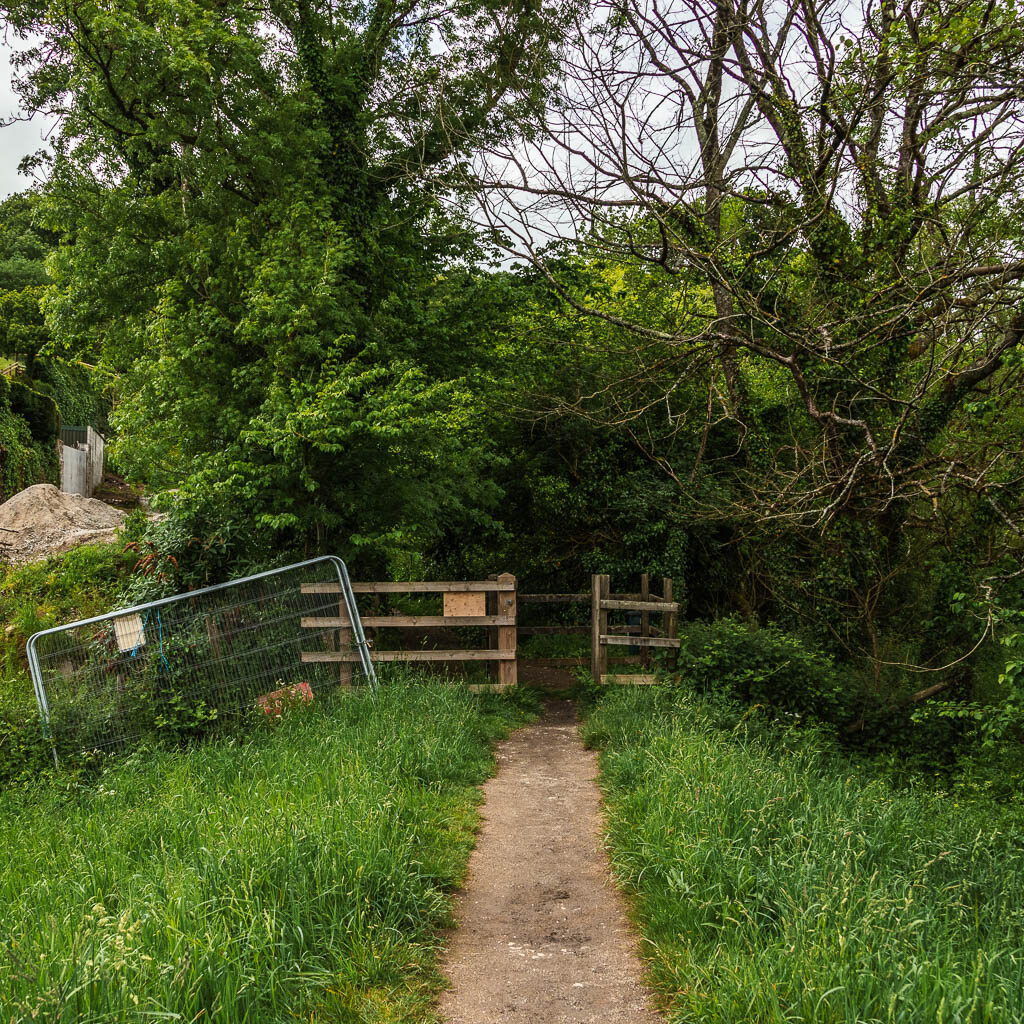 the path leading to a wooden fence and gate. The path is surround by overgrown grass. 