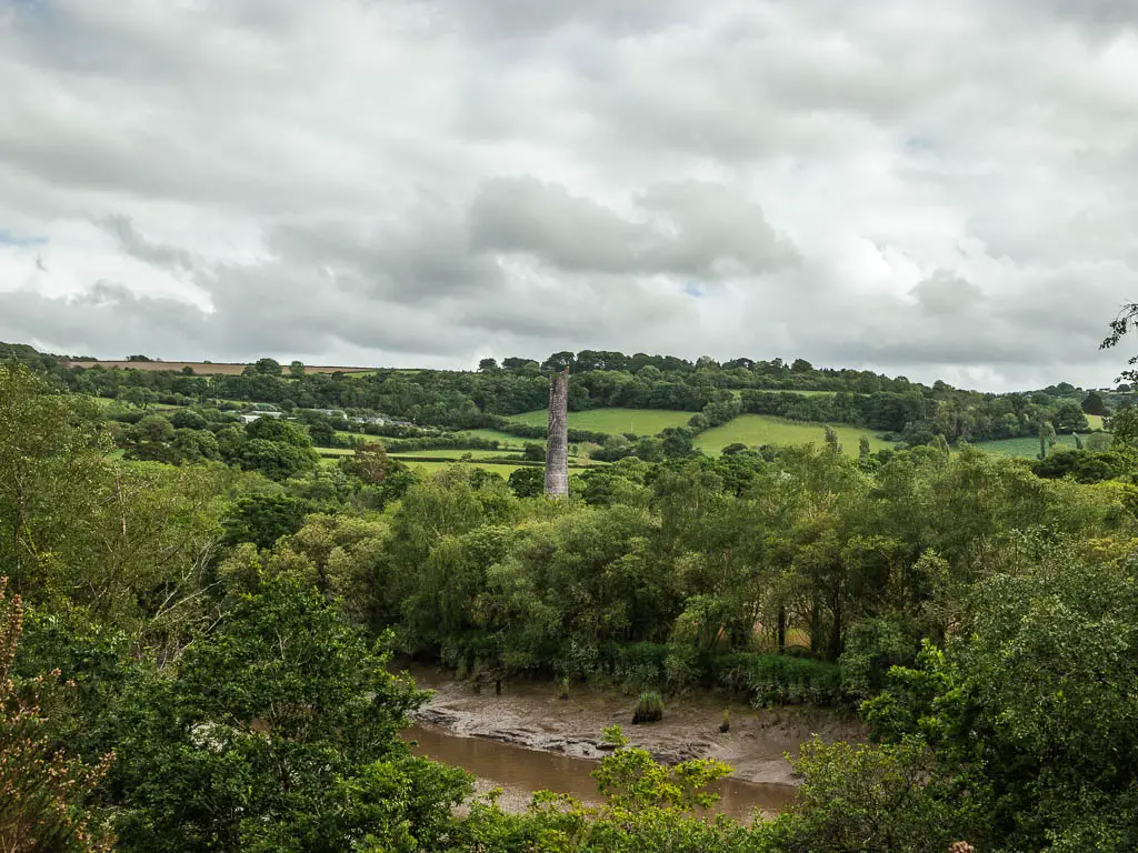 Looking down to the Tamar Valley and river on the Calstock riverside walk. There are lots of woodland trees below, and there is a chimney of an engine hose rising above the trees. 