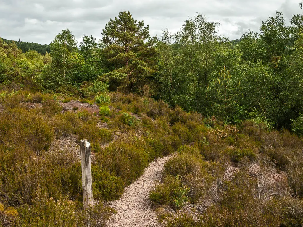 A narrow gravel path running downhill towards the woods. The path is lined with small bushes, and there is a wooden trail signpost on the left of it. 