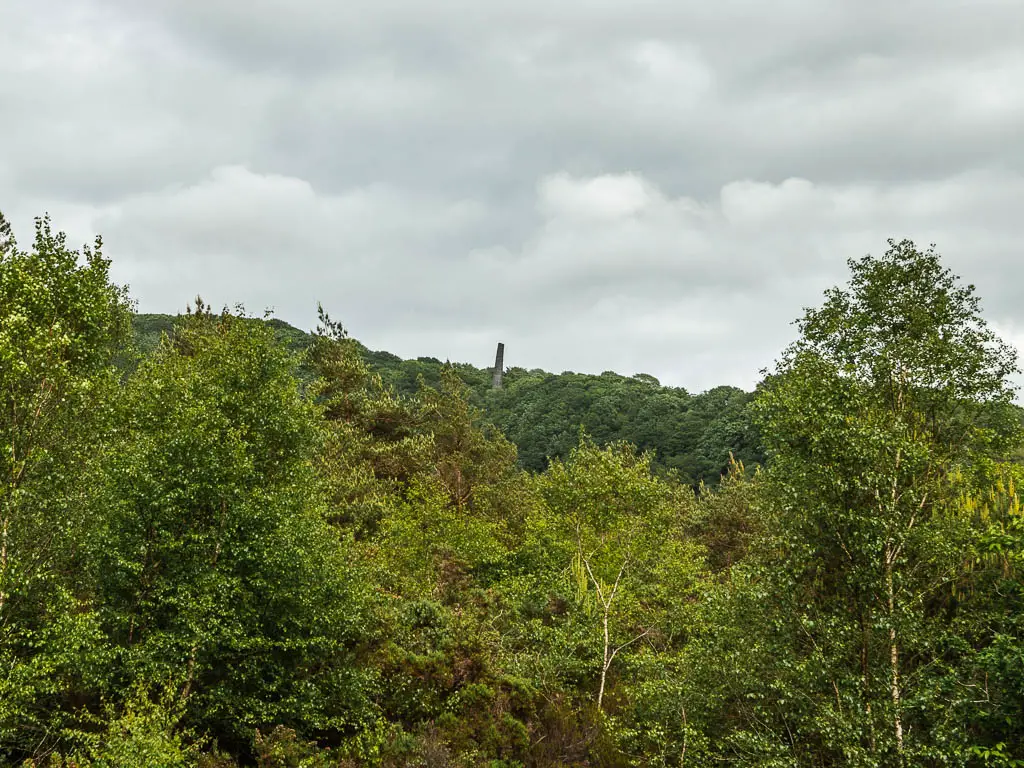 Looking across the tree tops to a wonky chimney of an engine house poking out of the trees in the distance.