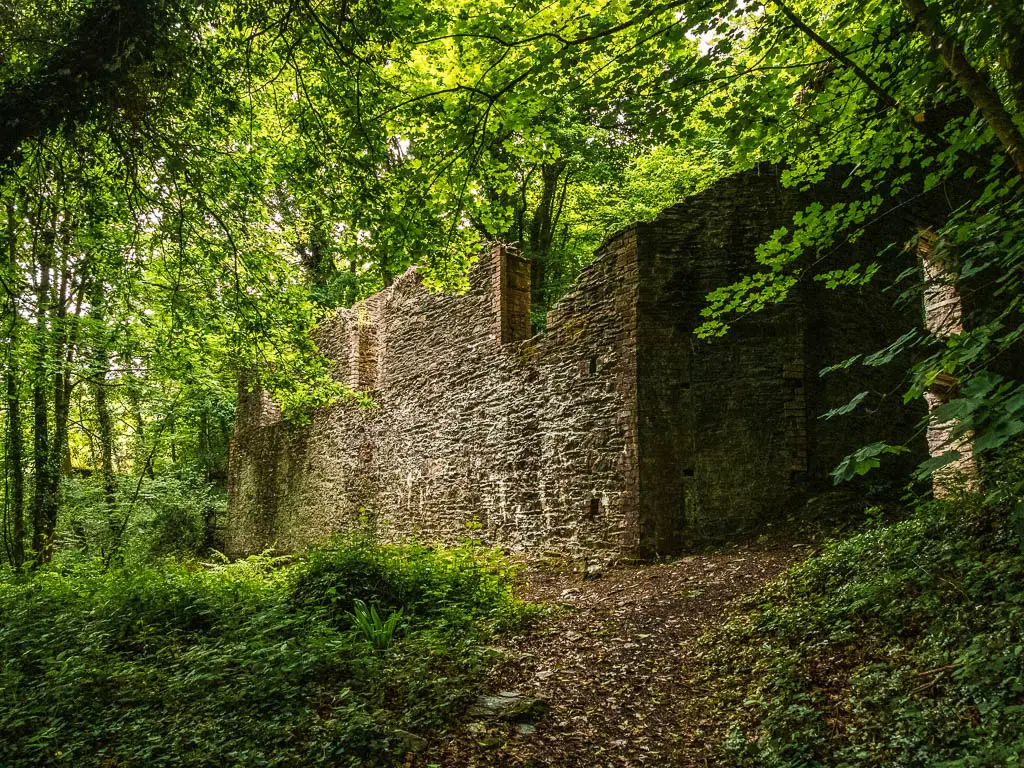 The ruins of a stone building within the woods.