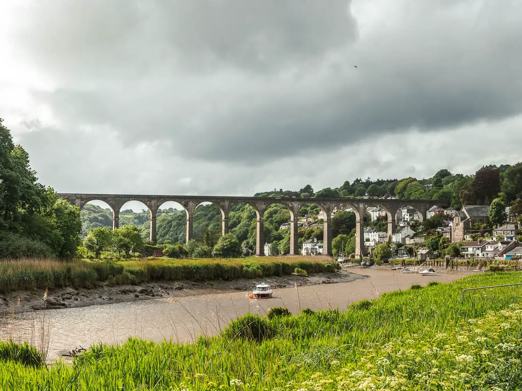 Standing on the riverside looking along the Tamar River to the Calstock Viaduct at the end of the walk. 