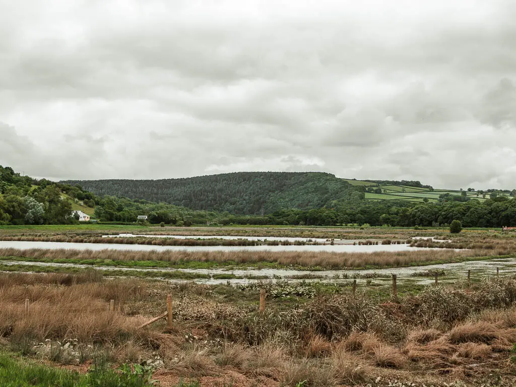 Looking across the boggy gourd to some hills in the distance. 