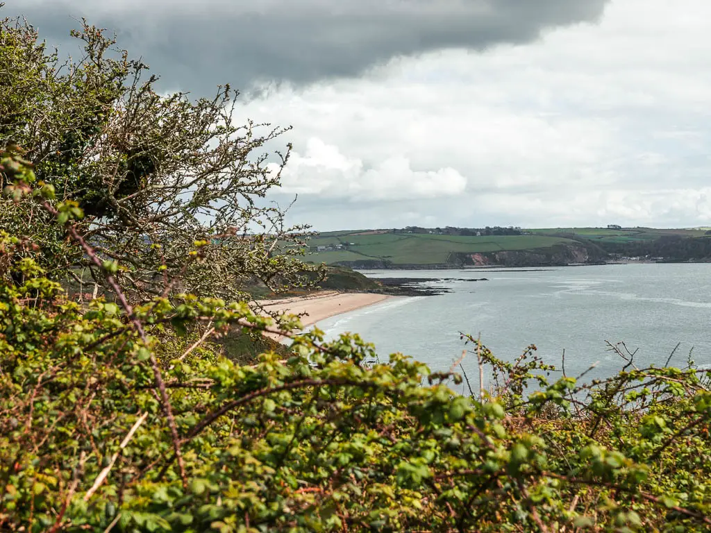 Looking across the bush tops to a stretch of beach ahead on the coastal walk from Charlestown to Par.