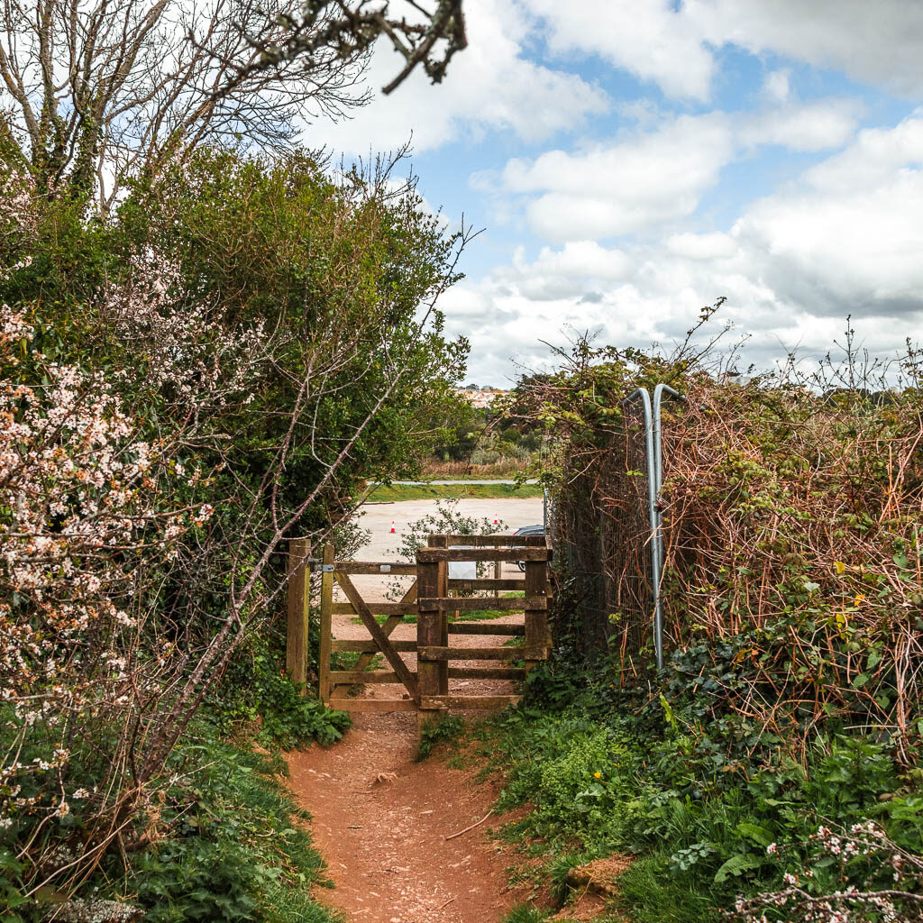 The dirt trail lined with bushes, leading to a wooden gate ahead.