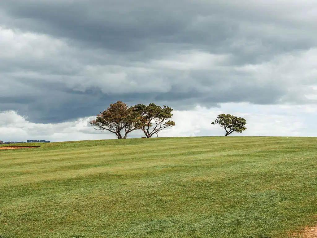 A large field of the gold course with neatly cute grass. There are a few trees straight ahead in the field.