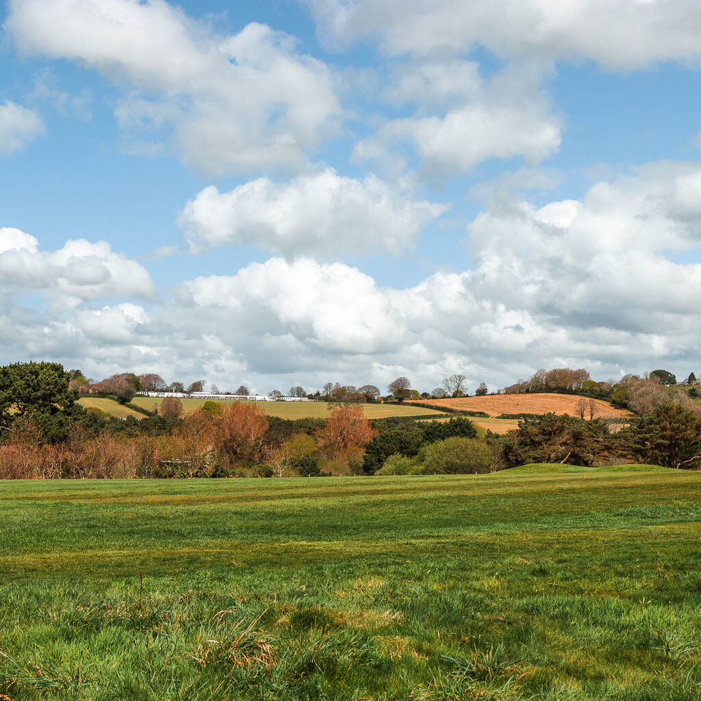 Looking across the grass field to the bushes, trees and crop hill fields in the distance. 