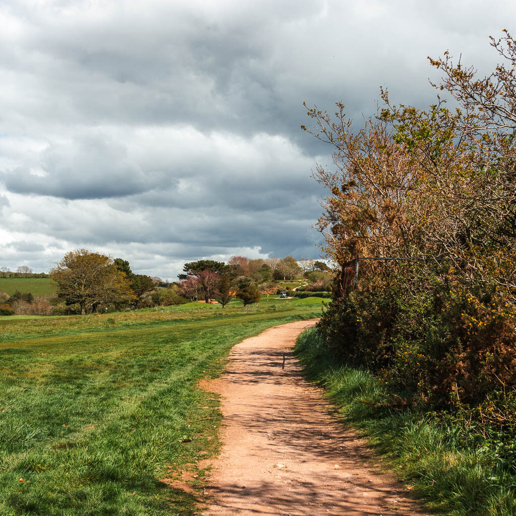 A path on the right of a green grass field. There are bushes to the right of the path.