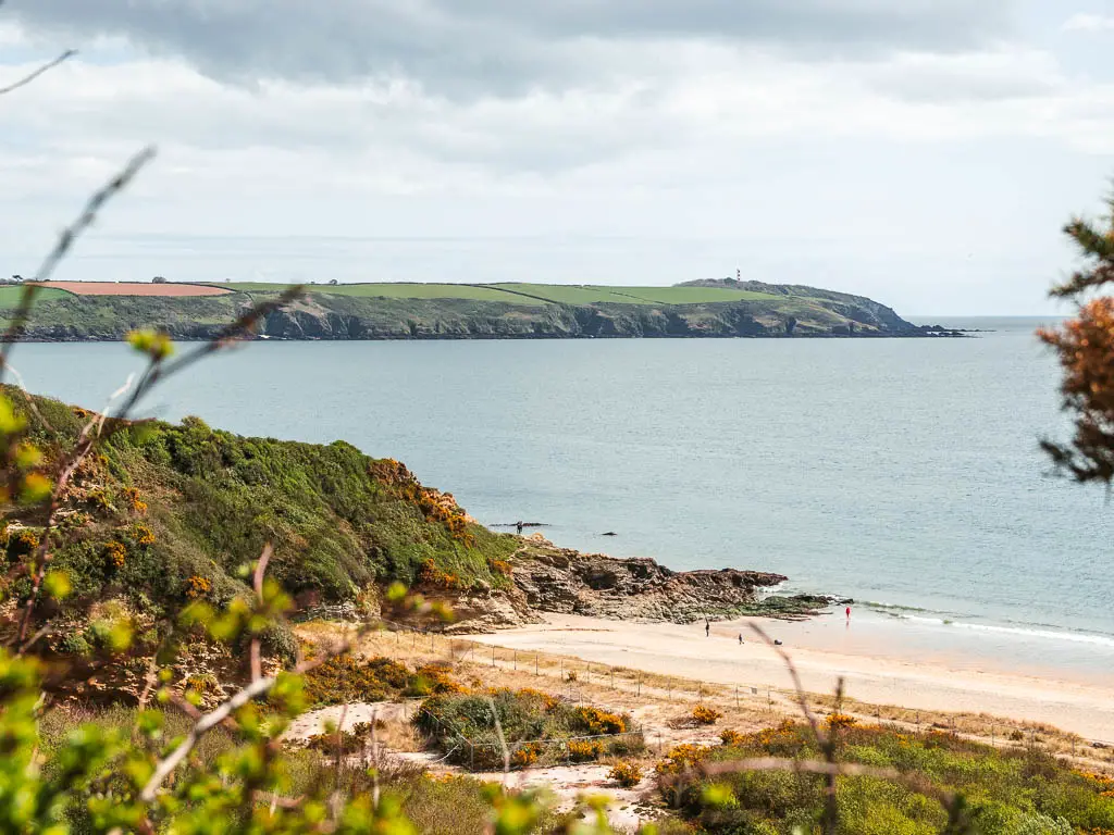 Looking down to a stretch of sandy beach on the coastal walk from Charlestown to Par, with a bush covered cliff to the left and Gribbin Head peninsular across the sea in the distance. 