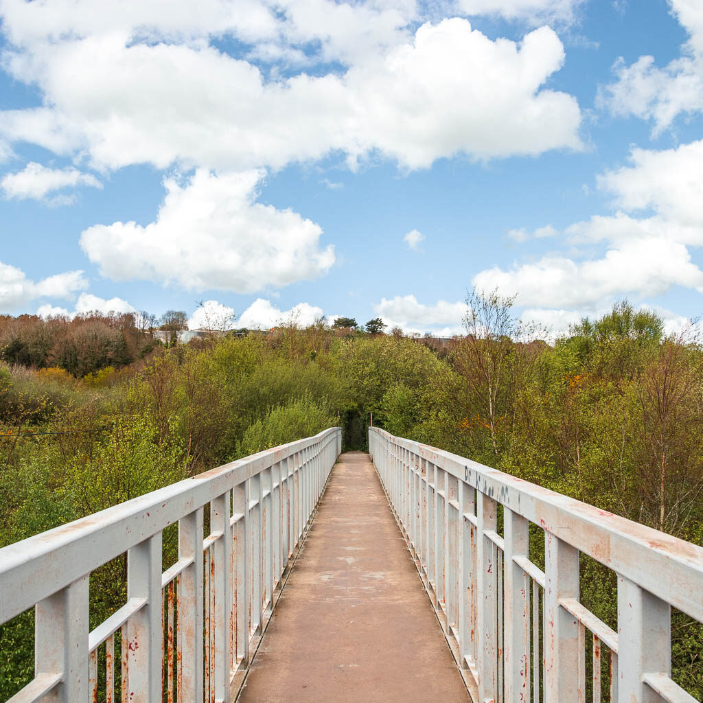 A long bridge with light grey metal railings, leading to the bushes and trees on the other side.