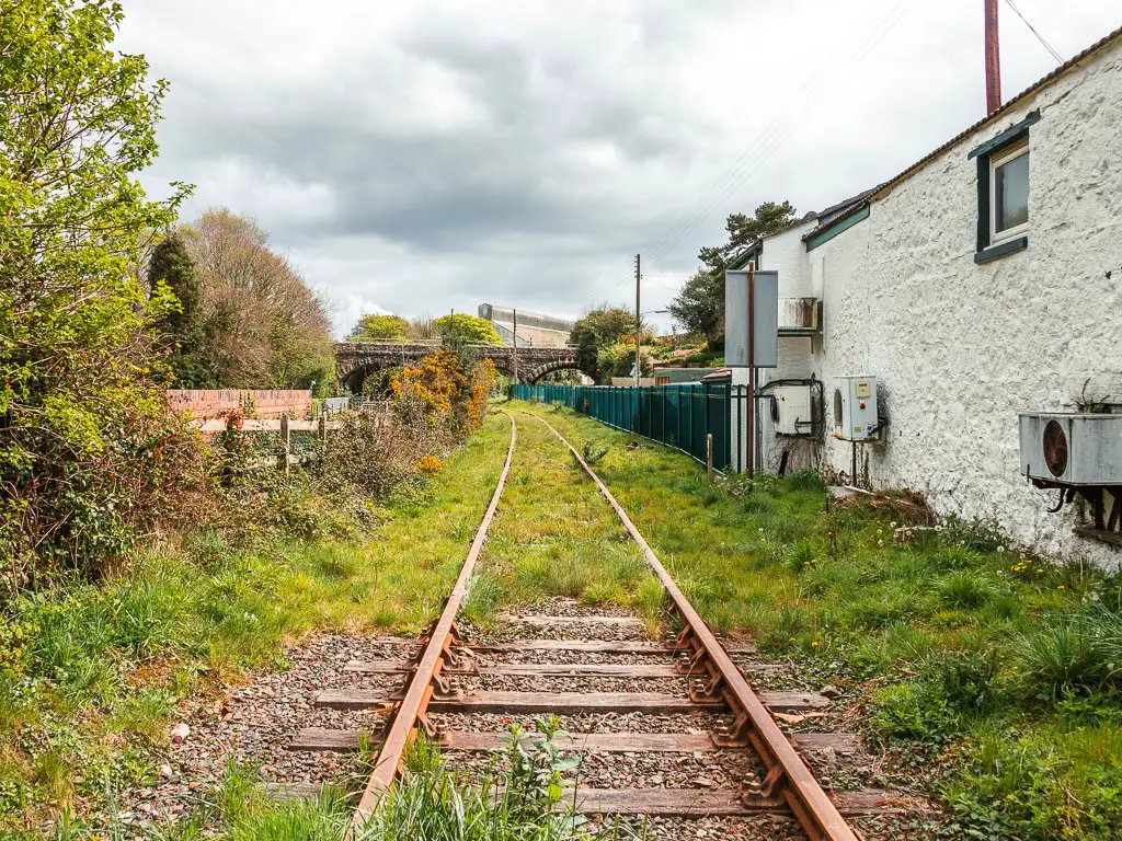 Looking along the disused railway tracks, overgrown with grass in Par, near the end of the walk from Charlestown.